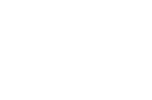 Importmine